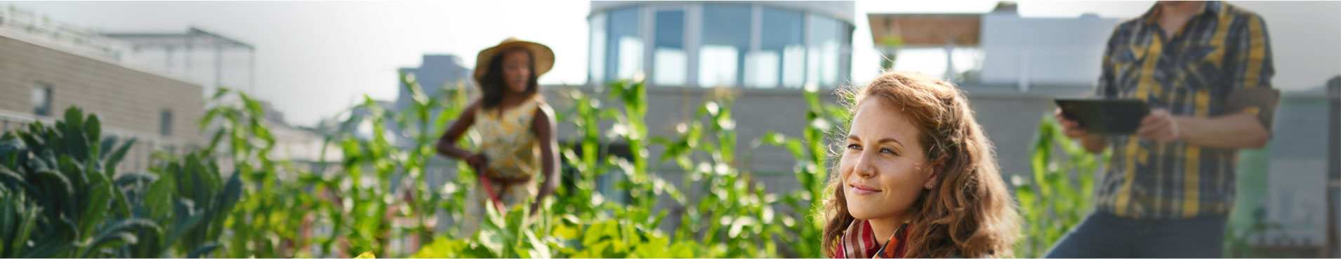 Page heading background of people in crop field